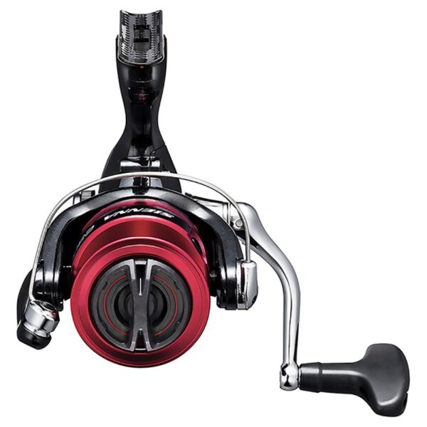 Shimano - Sienna C3000 FG