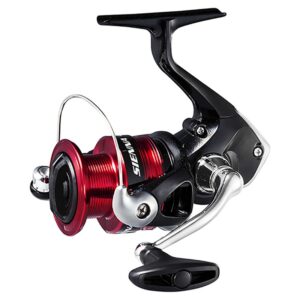 Shimano - Sienna C3000 FG